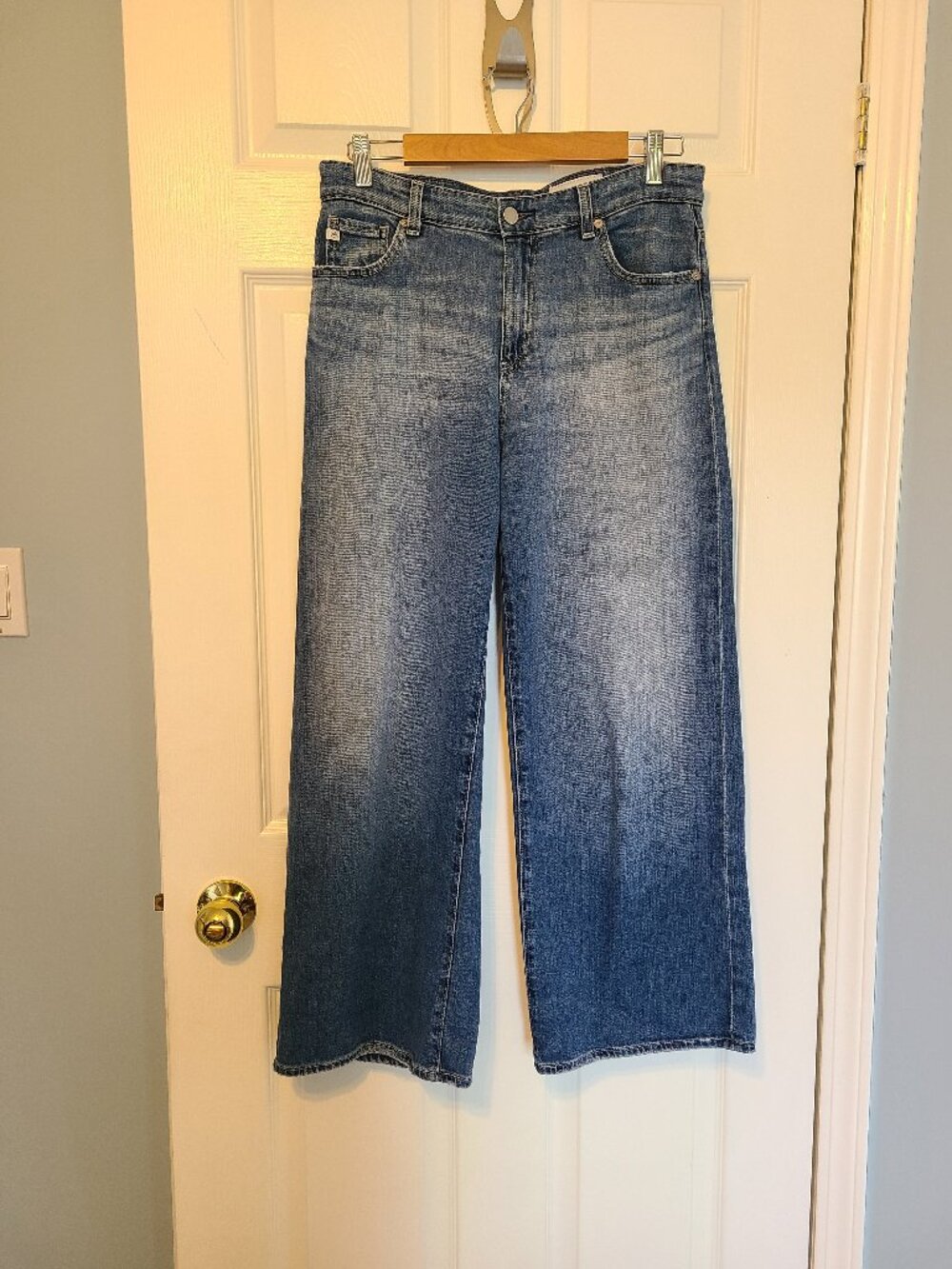 AG saige wide leg crop jean 28/29